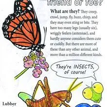 thumbnail for publication: Insects: Friend or Foe? Color and Learn!